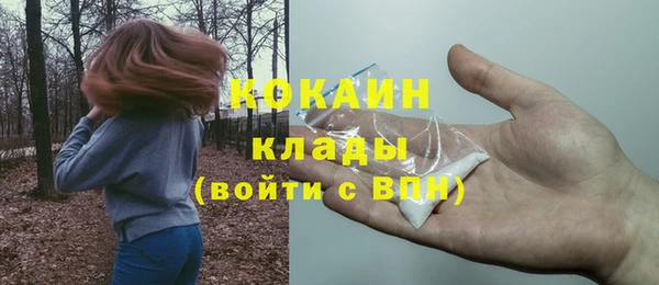 гидра Пересвет