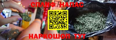 эйфоретик Бузулук