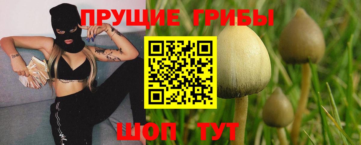 Псилоцибиновые грибы MAGIC MUSHROOMS  Псилоцибиновые грибы GOLDEN TEACHER  Красноярск  Вход с VPN 